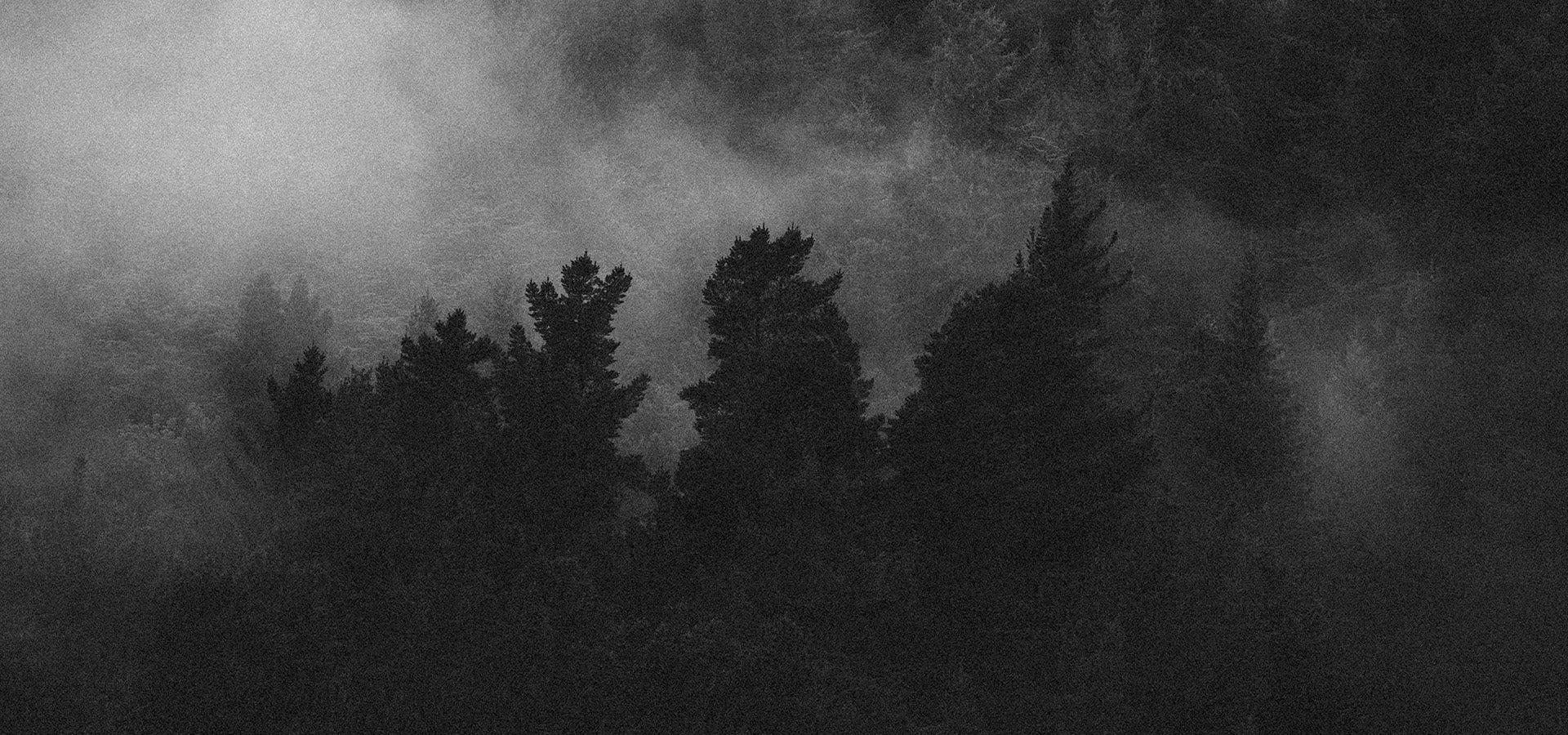 Mist drifts through dark, dense pine trees and granite formations in a forest, creating a mysterious and moody atmosphere in this black-and-white photograph.