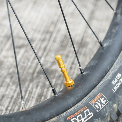 Trail-ready Protection