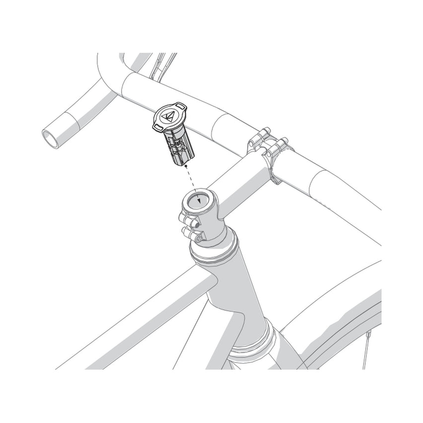 6. Align and load
